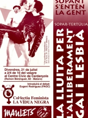 Lluita per l'alliberament gai i lesbià (21/7/1995)